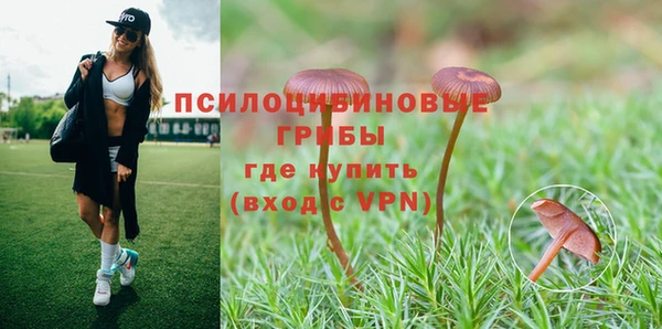метадон Арсеньев