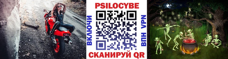 Галлюциногенные грибы Psilocybe  Семикаракорск 